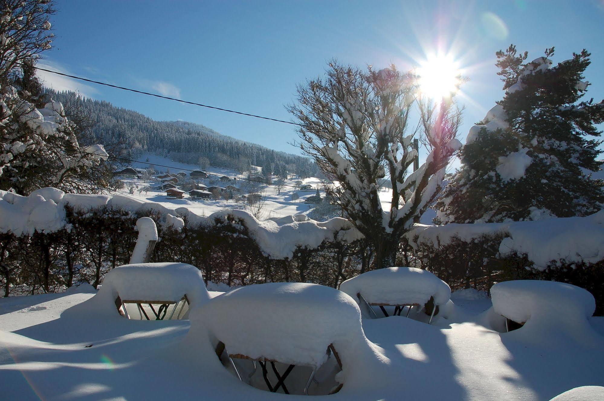 Hotel Le Caprice Des Neiges Combloux Εξωτερικό φωτογραφία